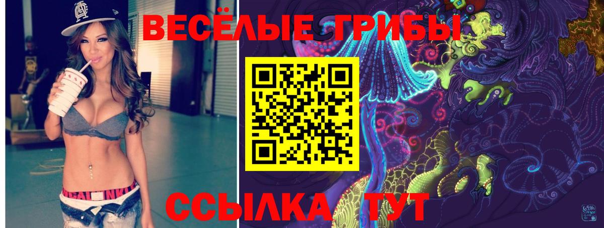 Родники  наркошоп  Вход с VPN  Псилоцибиновые грибы GOLDEN TEACHER 