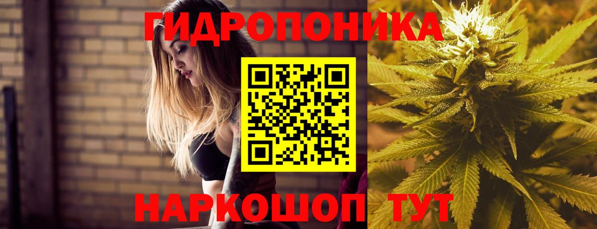 МАРИХУАНА план  Каннабис план  Родники  Шишки марихуана конопля  Вход с VPN  Конопля гибрид 